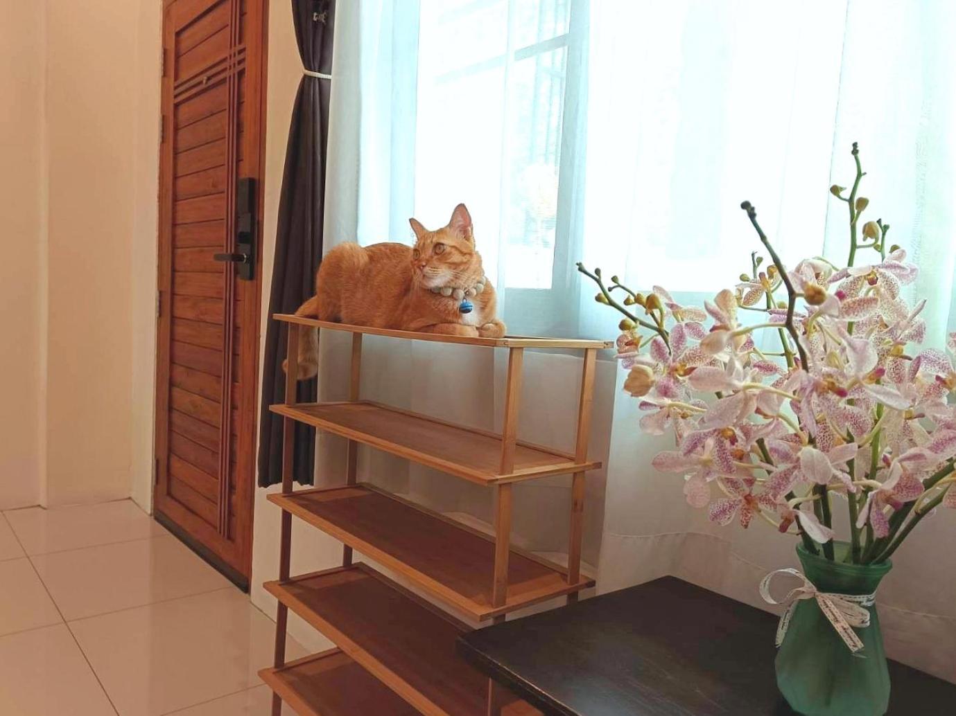 Sasima Bed And Breakfast Chiang Mai Exteriör bild